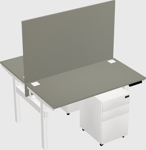 Shared electric desk