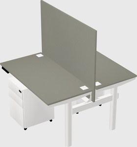 Shared electric desk