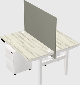 Shared electric desk
