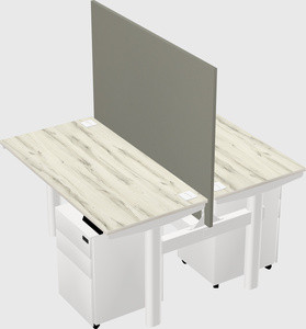 Shared electric desk