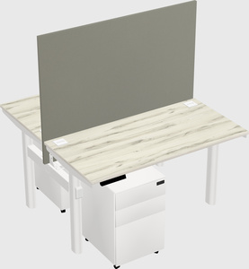 Shared electric desk
