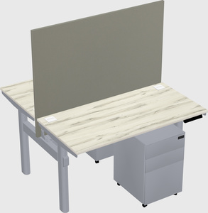 Shared electric desk
