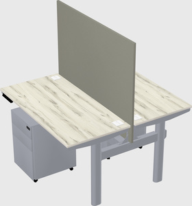 Shared electric desk