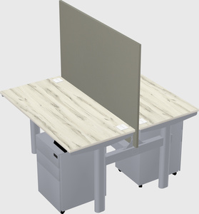 Shared electric desk