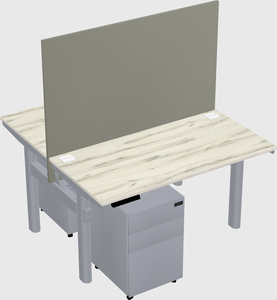 Shared electric desk