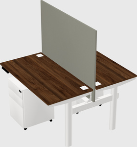 Shared electric desk