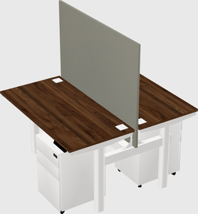 Shared electric desk