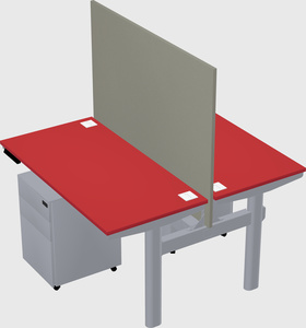 Shared electric desk