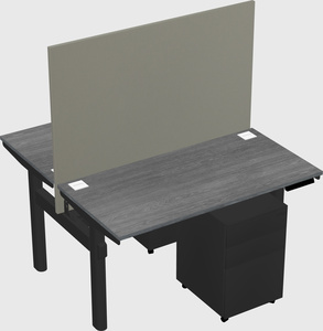 Shared electric desk