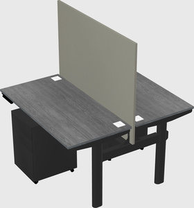 Shared electric desk