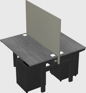 Shared electric desk