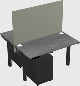 Shared electric desk