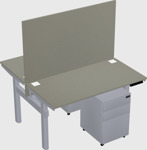 Shared electric desk
