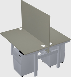 Shared electric desk