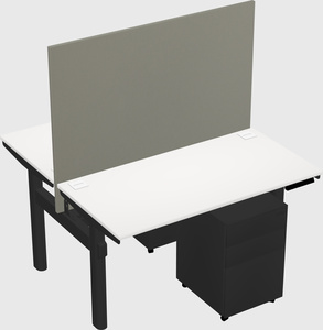 Shared electric desk