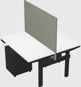 Shared electric desk