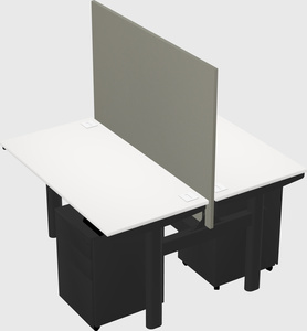 Shared electric desk