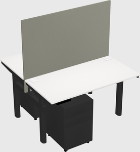 Shared electric desk