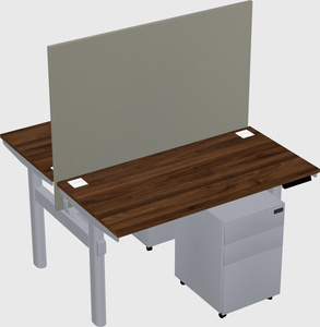 Shared electric desk