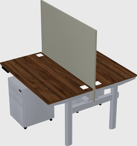 Shared electric desk