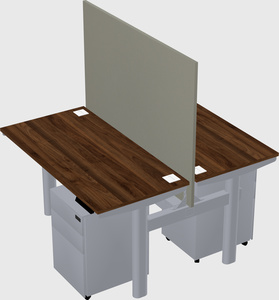 Shared electric desk