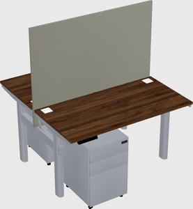 Shared electric desk
