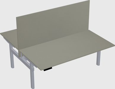 Shared electric desk
