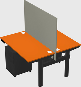 Shared electric desk