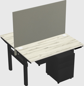 Shared electric desk
