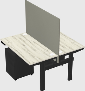 Shared electric desk