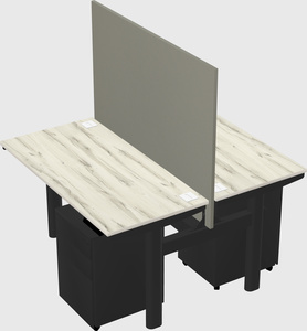 Shared electric desk