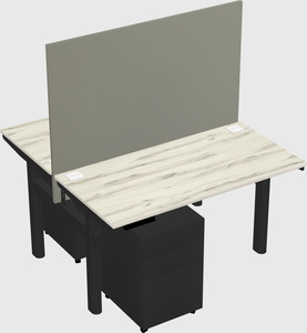 Shared electric desk