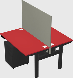 Shared electric desk