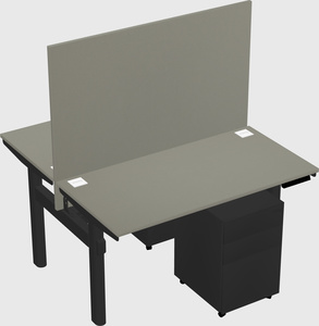 Shared electric desk