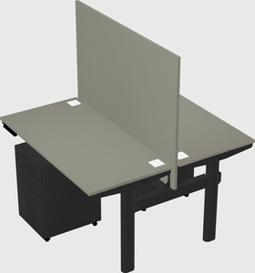 Shared electric desk