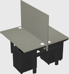 Shared electric desk
