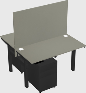 Shared electric desk