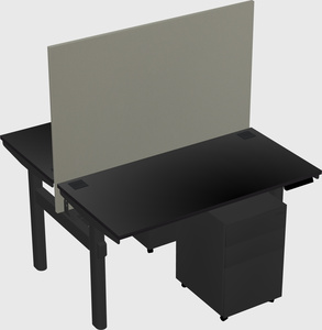 Shared electric desk