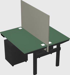 Shared electric desk
