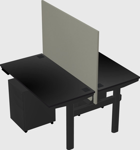 Shared electric desk