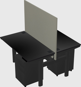Shared electric desk