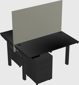 Shared electric desk