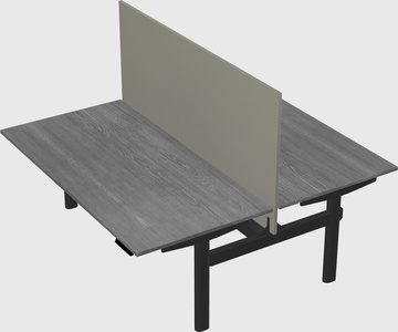 Shared electric desk