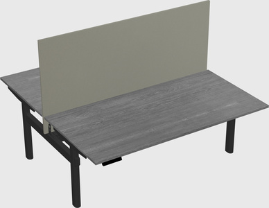 Shared electric desk