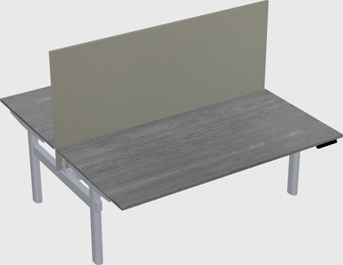 Shared electric desk