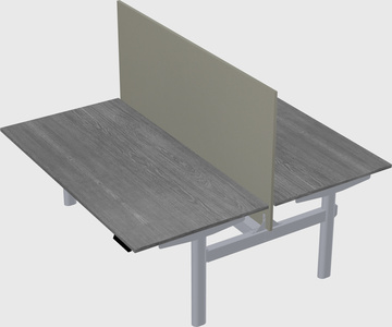 Shared electric desk