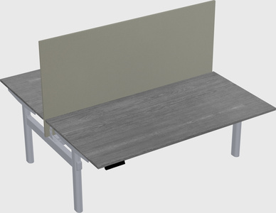Shared electric desk