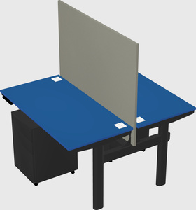 Shared electric desk