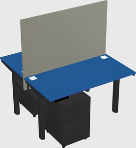 Shared electric desk