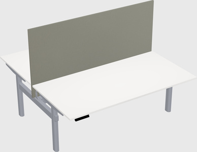 Shared electric desk